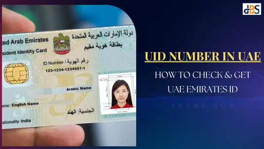 UID Number In UAE: How To Check & Get UAE Emirates ID (A Guide)