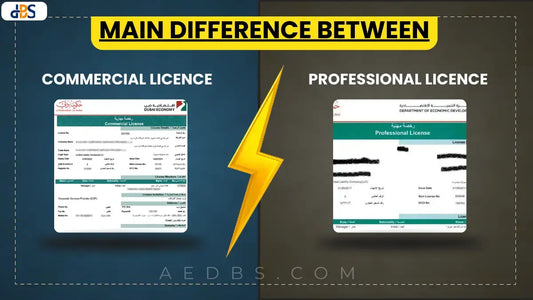 Main Difference Between Commercial And Professional Licence In Dubai (2025)