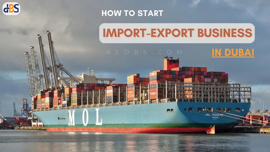 How to Start an Import-Export Business in Dubai: License Costs & Process