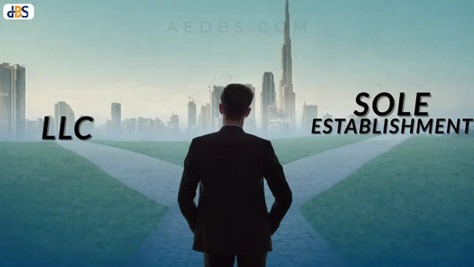 LLC vs. Sole Establishment In Dubai: What's The Main Difference