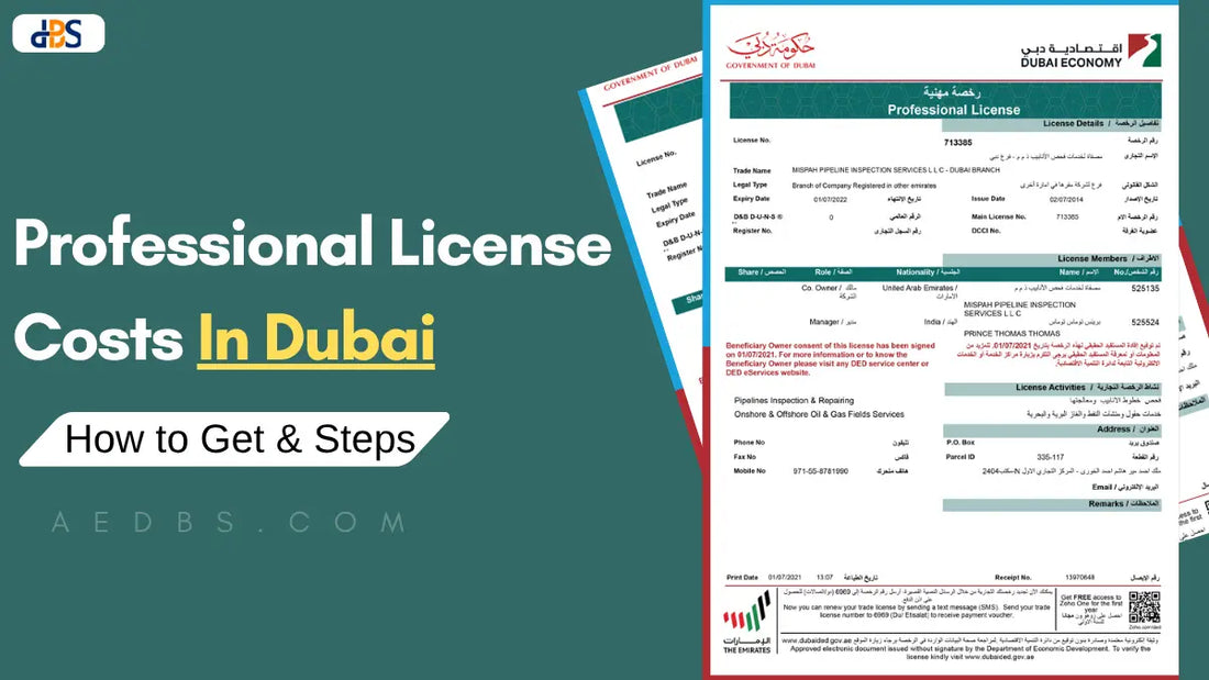 Professional License Costs in Dubai, UAE | How to Get & Step by Step Process