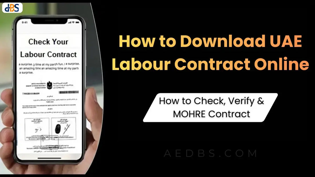 How to Download UAE Labour Contract Online: How to Check, Verify & MOHRE Contract